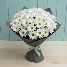 Букет цветов из:  Хризантемы в Зюзино