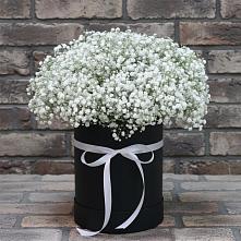 Цветочная композиция из Гипсофила в шляпной коробке в Зюзино