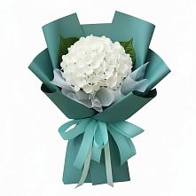 Букет цветов из:  Гортензия в Зюзино